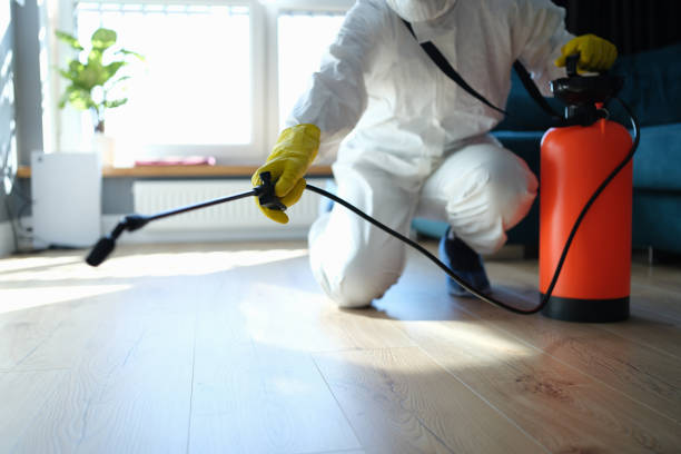 Trusted Trauma Scene Cleanup service in Guerneville, CA - Four Month Blood Cleanse